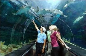Cabrillo Marine Aquarium en San Pedro