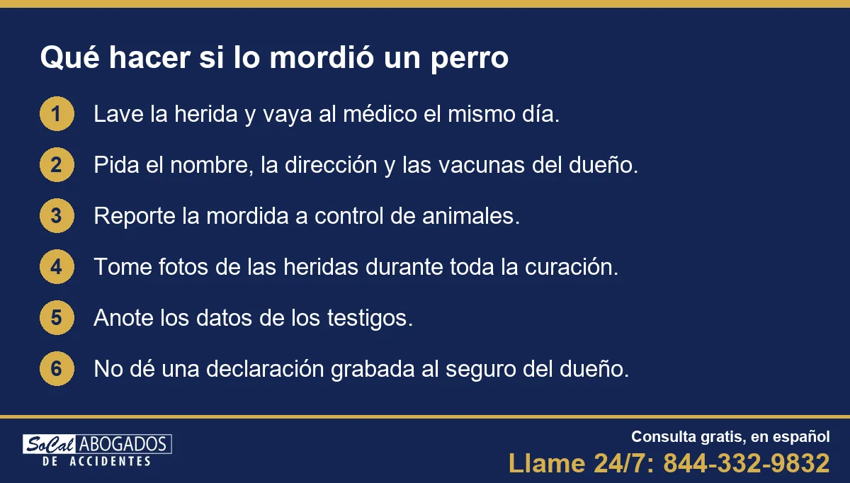 Lista de 6 pasos: qué hacer si lo mordió un perro