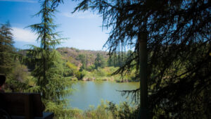 Centro de naturaleza Sooky Goldman en Franklin Canyon